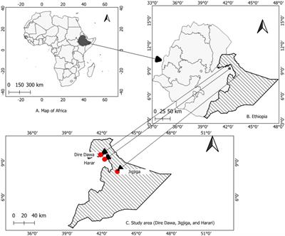 Genotype heterogeneity of high-risk human papillomavirus infection in Ethiopia